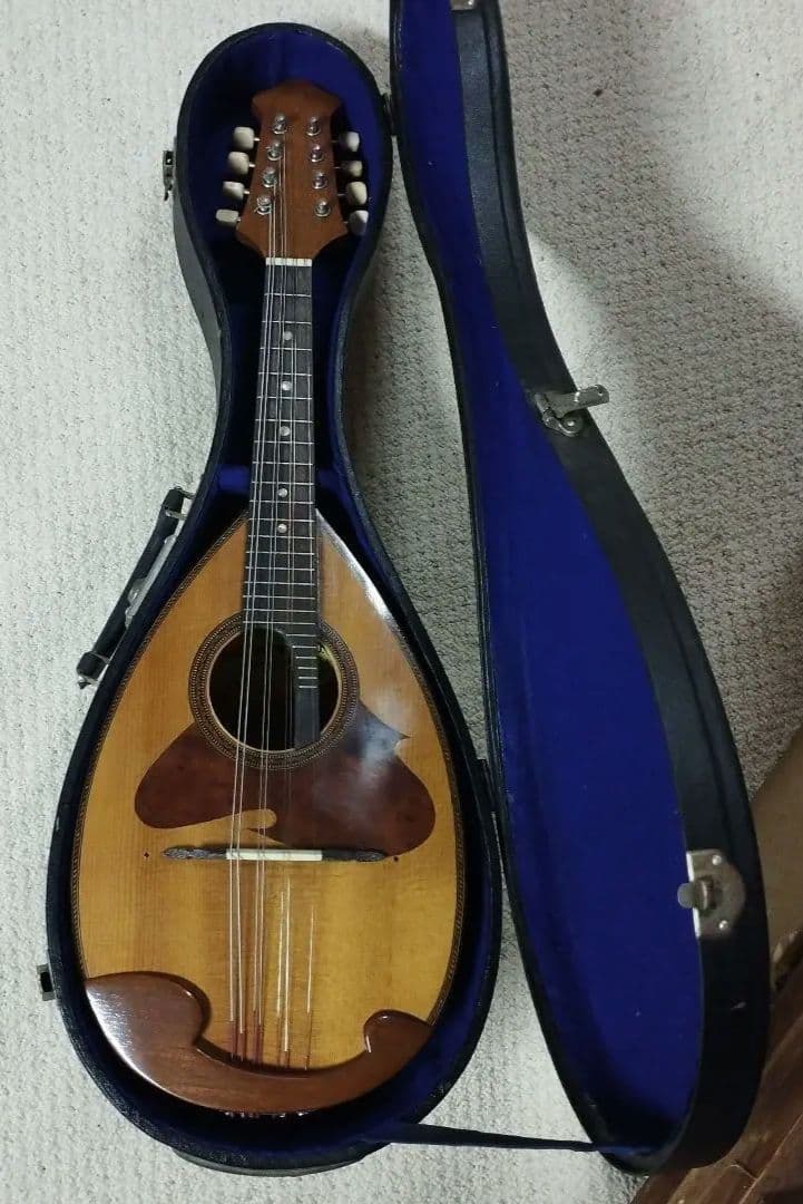 マンドリン　SUZUKIバイオリン社製　ハードケース付き　228　送料込み