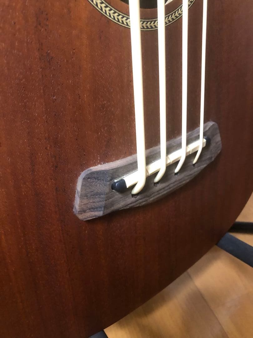 【ころぽっくる 】Gold Tone M-Bass マイクロベース