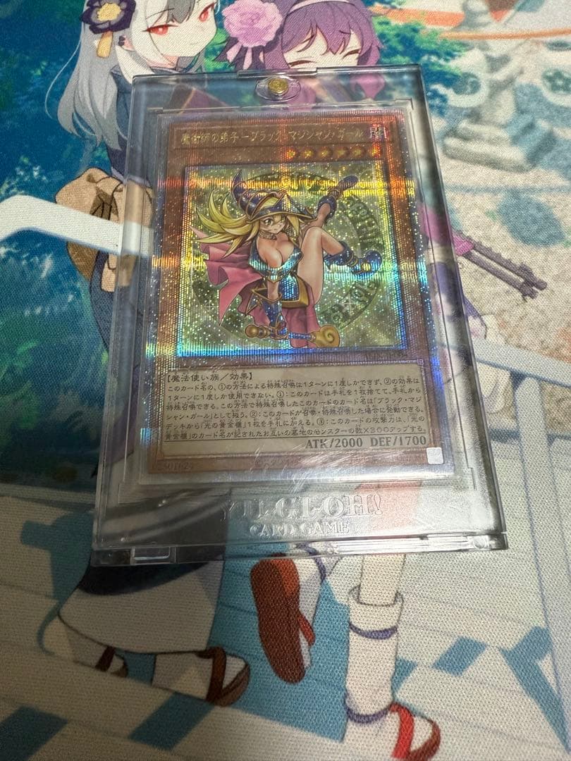 魔術師の弟子-ブラック・マジシャン・ガール　25シク