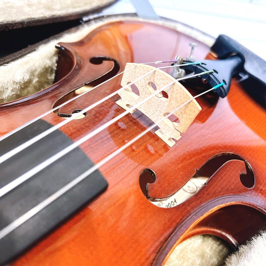 【極美品】KARL HOFNER 2001年製 4/4 カールヘフナー虎杢 66