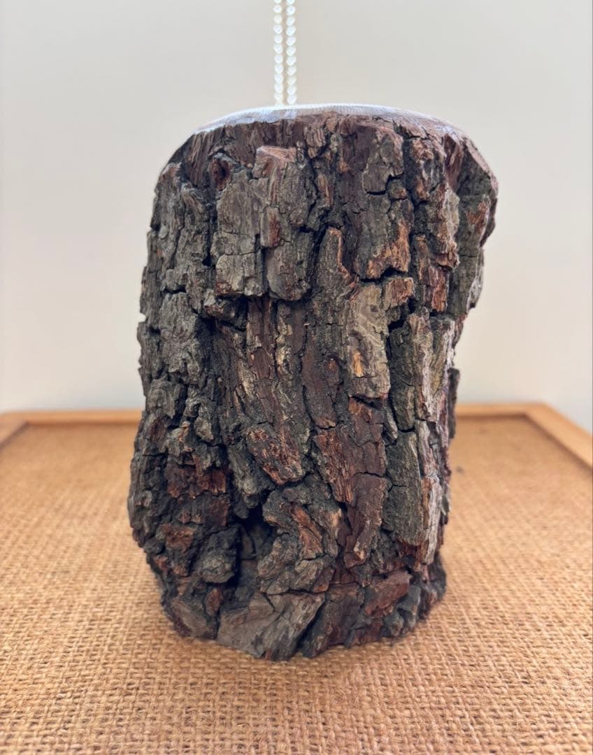 三本木 森兵衛★希少『新品•入手困難』A+Ωクラフトウッド(クワリウム)