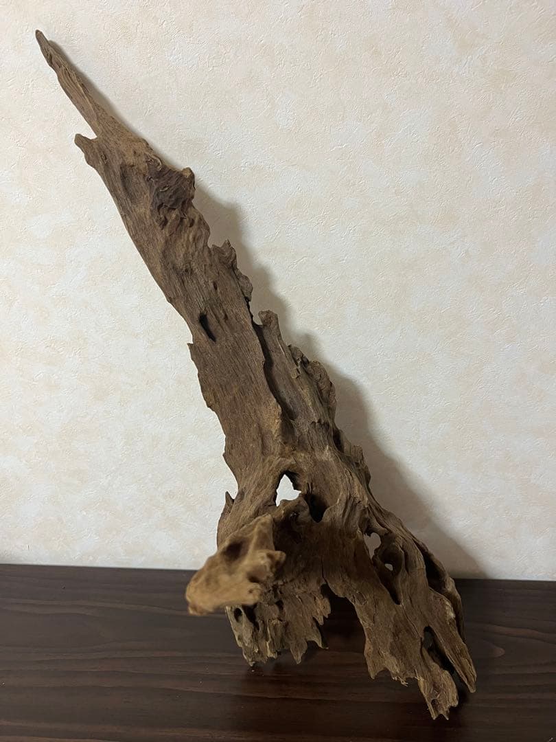 XM-363 ブランチウッド　流木　マシンガンウッド　アクアリウム　爬虫類