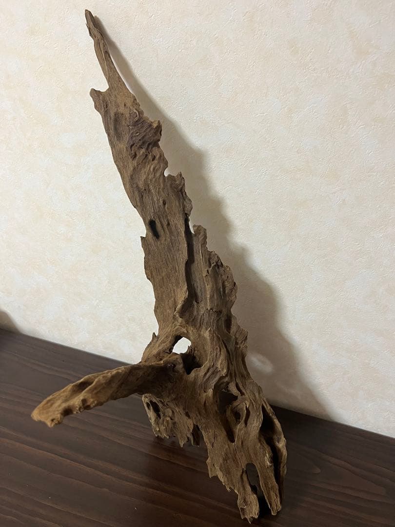 XM-363 ブランチウッド　流木　マシンガンウッド　アクアリウム　爬虫類