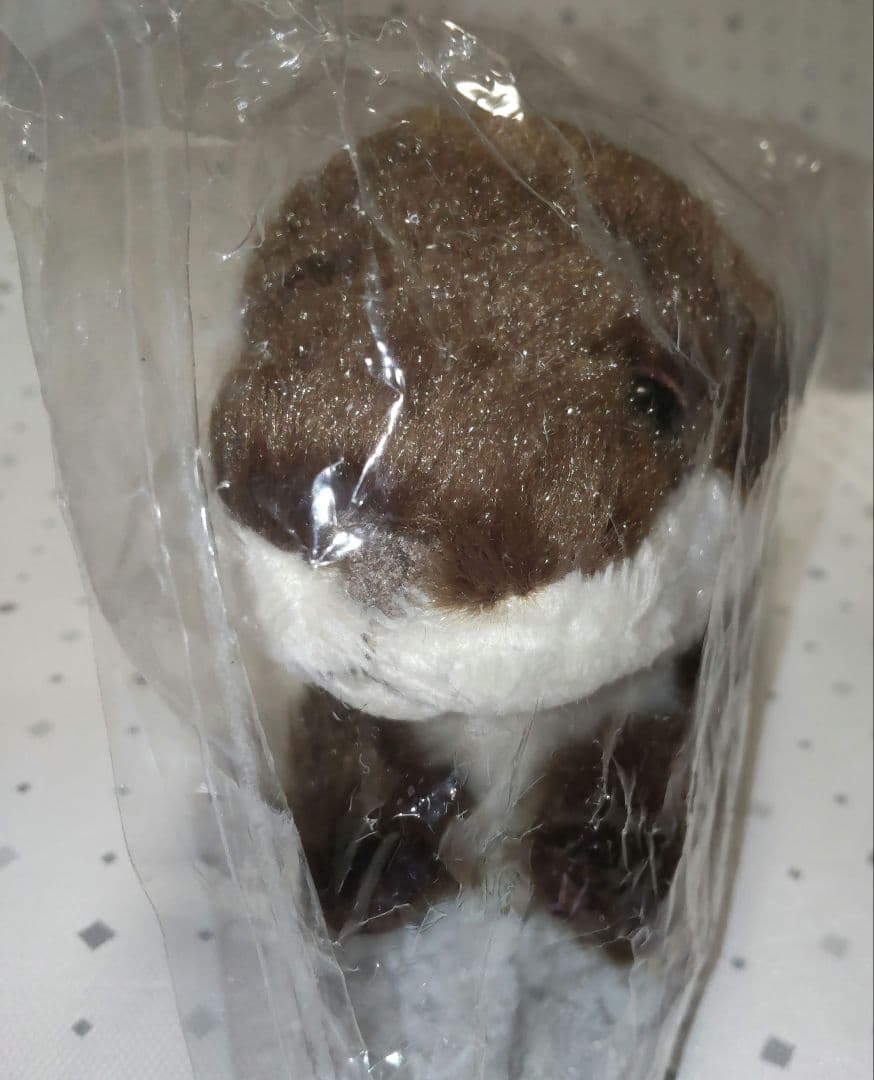 サンレモン カワウソ ぬいぐるみ