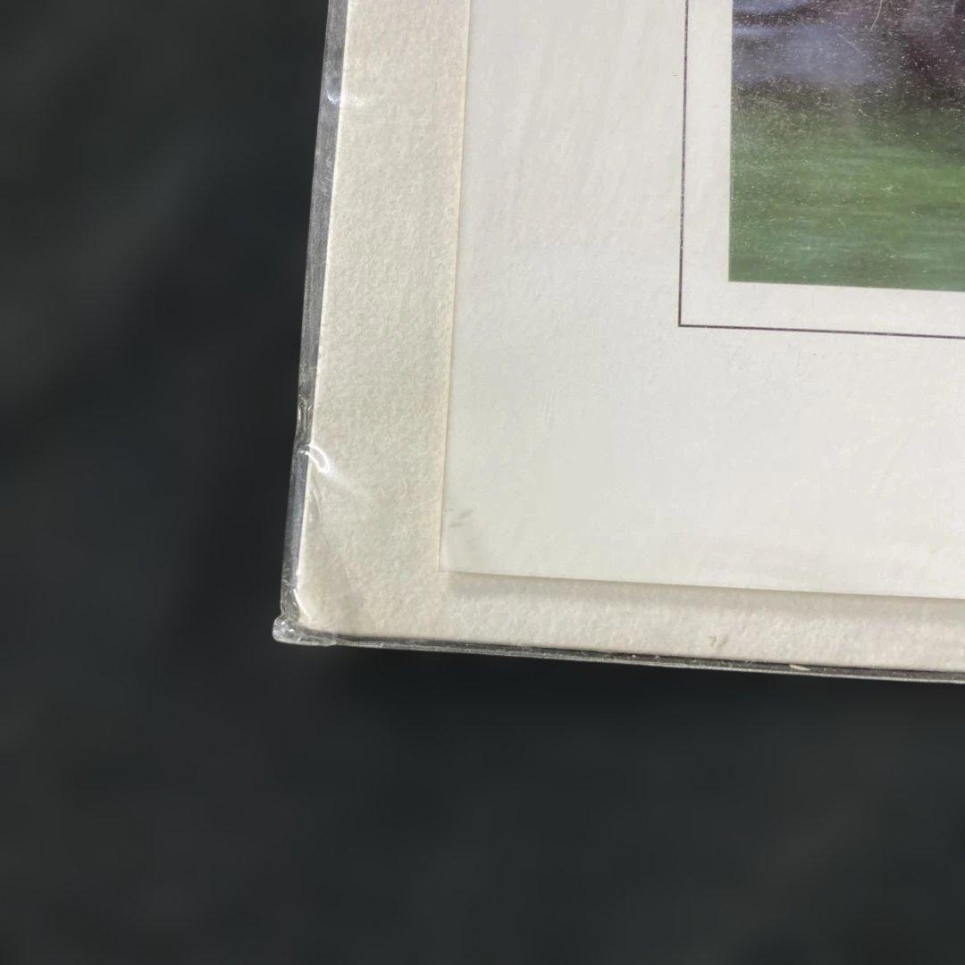 【競馬】ステイゴールド（香港ヴァーズ）デジタルフォト／久保吉輝／JRA