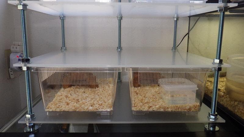 レオパ、ヘビの飼育ケージ　スネークラック