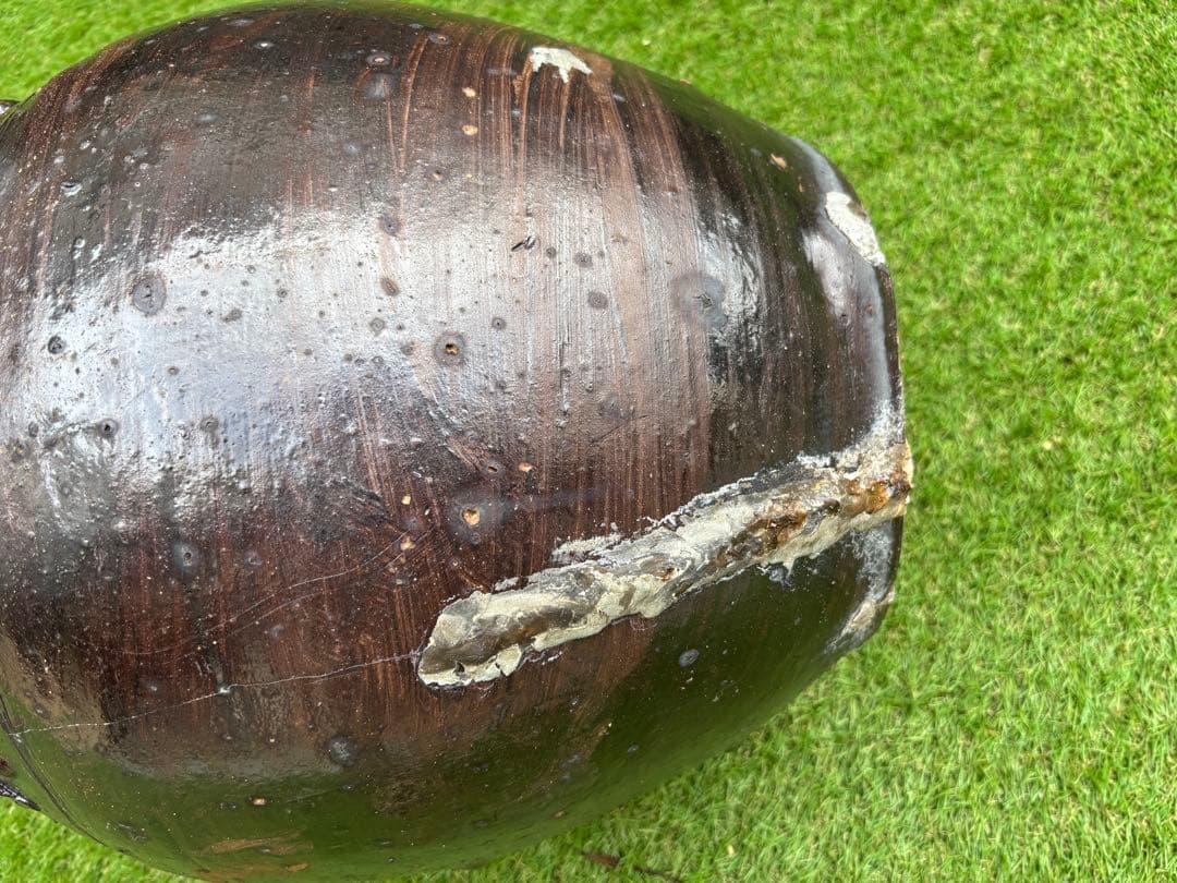 【沖縄/やちむん/希少】荒焼（あらやち）　特大サイズ約48cm