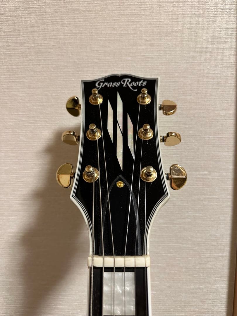 Grassroots G-LP-CTM ・ARIA PROⅡ AB-10PLUS