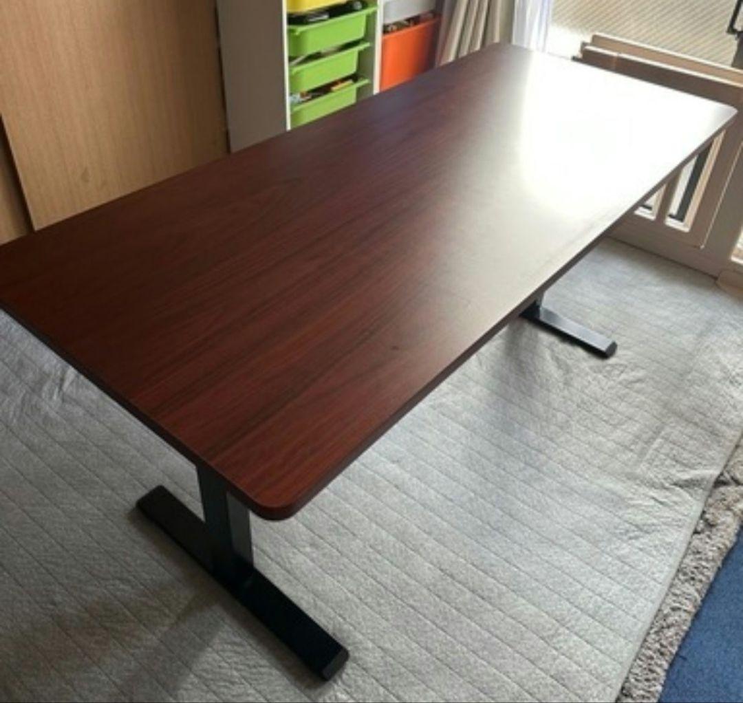 FlexiSpot 電動昇降デスク EG1B フレーム + 天板160cm