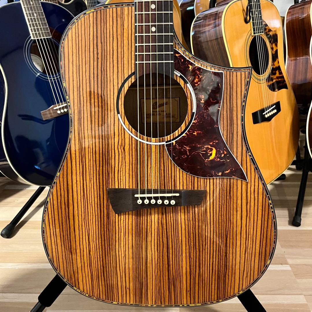 【11206】Rosso R-54 アコースティックギター ゼブラウッド