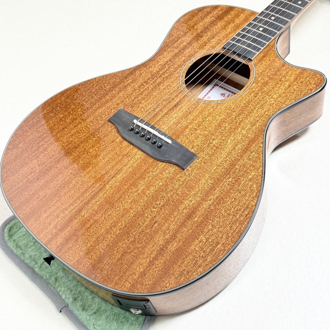 KALA アコースティックギター FISHMAN搭載 KA-GTR-MTS-E