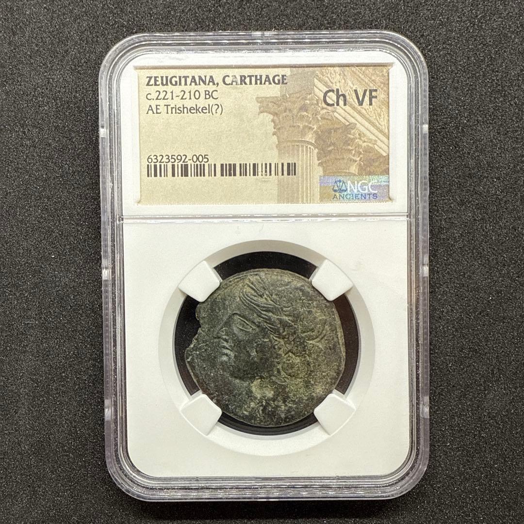 【希少】カルタゴ ゼウリガタナ NGC鑑定済み 古代
