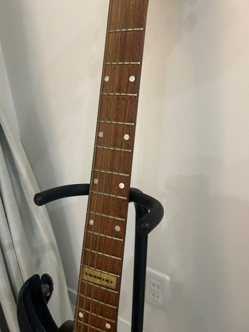 XJAPAN YOSHIKIモデル / FERNANDES / BG-125X