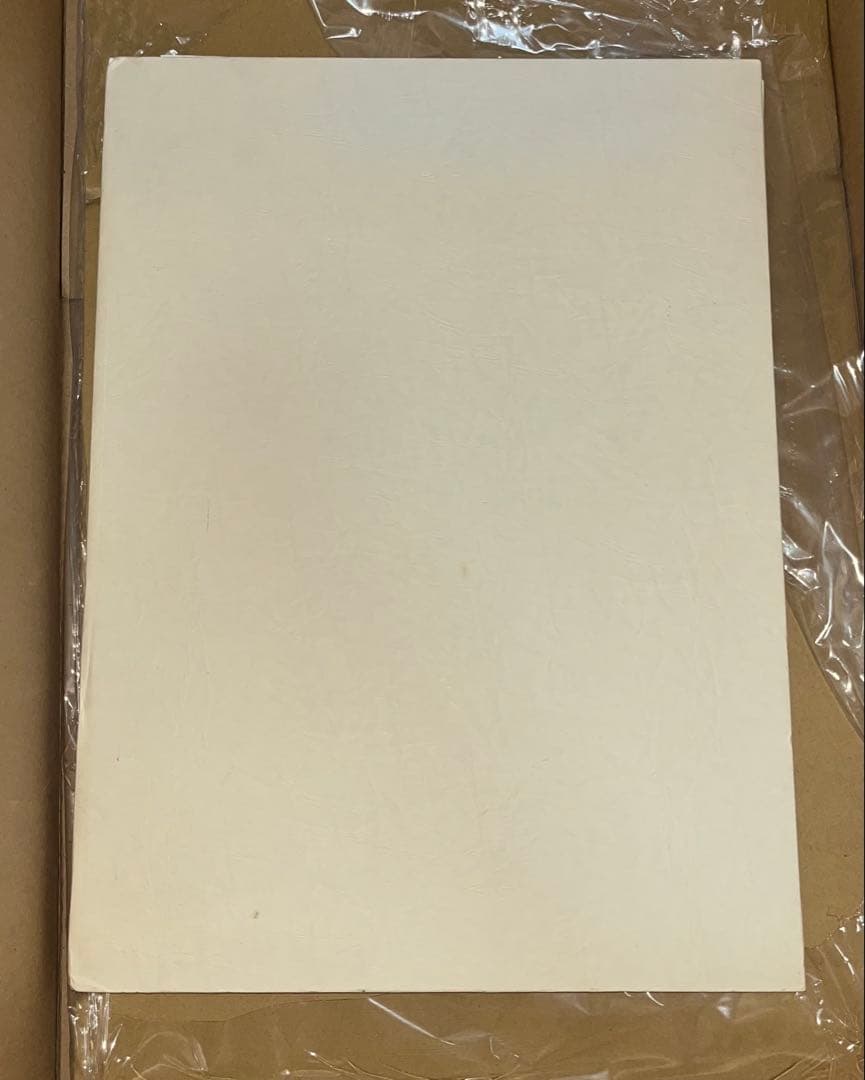 平野耕太 YOUNGKING OURS HELLSING 複製原画 複製原稿