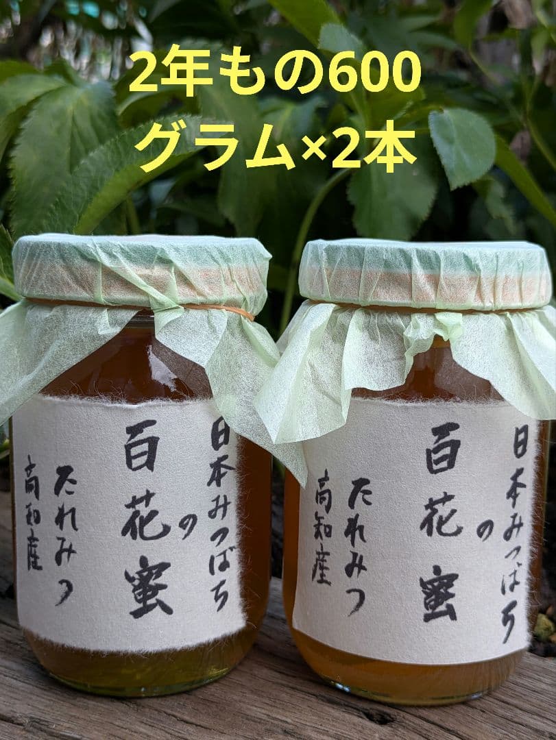 日本ミツバチ 蜂蜜 令和7年度 採れたて　たれ蜜　2年もの600g×2本 非加熱