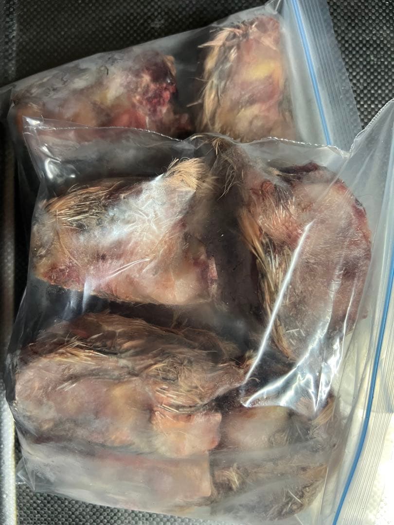 冷凍ウズラ　30羽