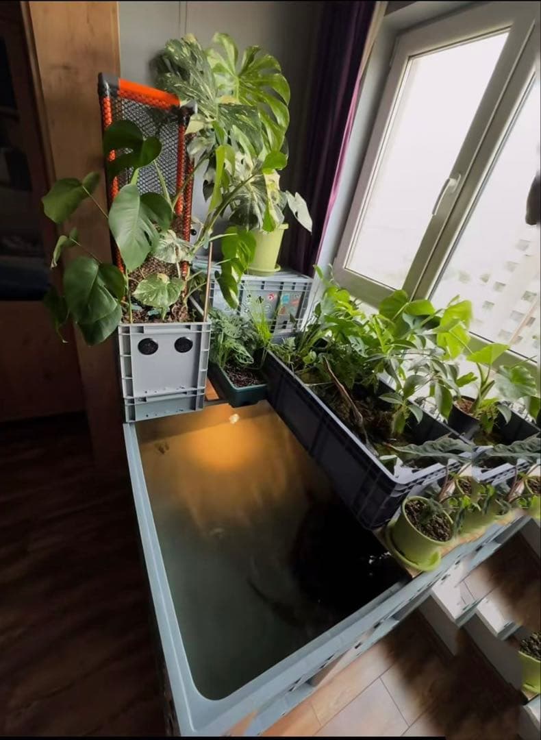 水槽用万能フィルター 外部式飼育濾過装置 ポンプ付き　到着すぐ使える状態