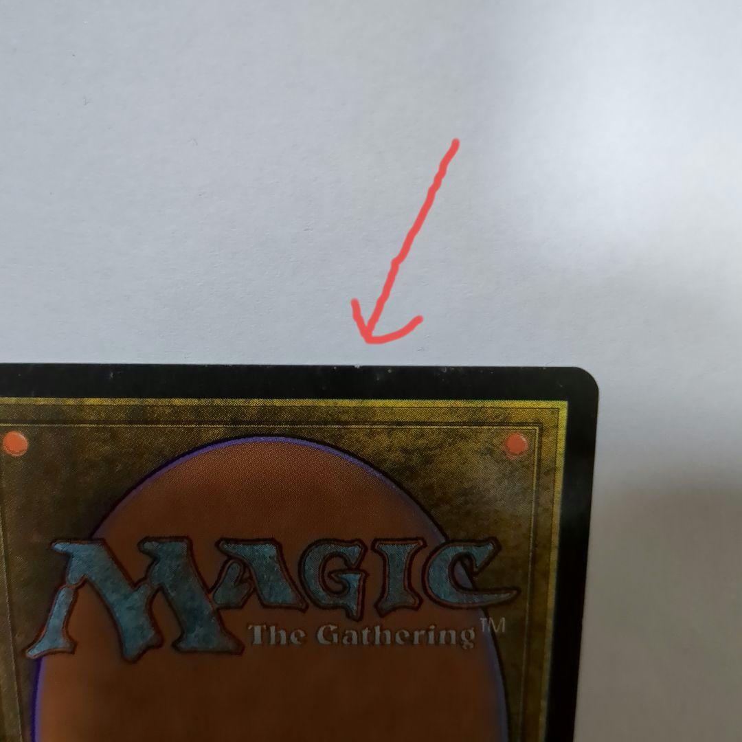 MTG 適者生存（２枚セット）　英語版２枚