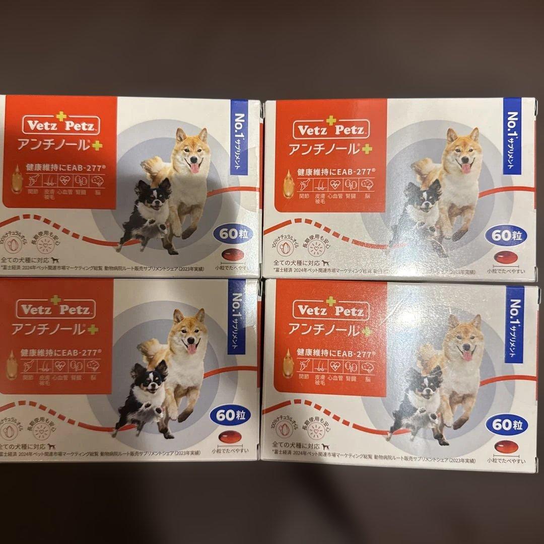 アンチノールプラス60粒4箱