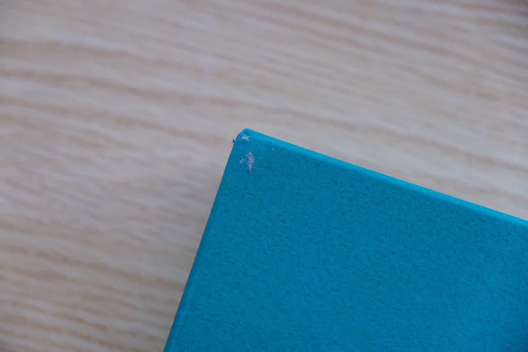 D.Gray-manガラスペン　アレン