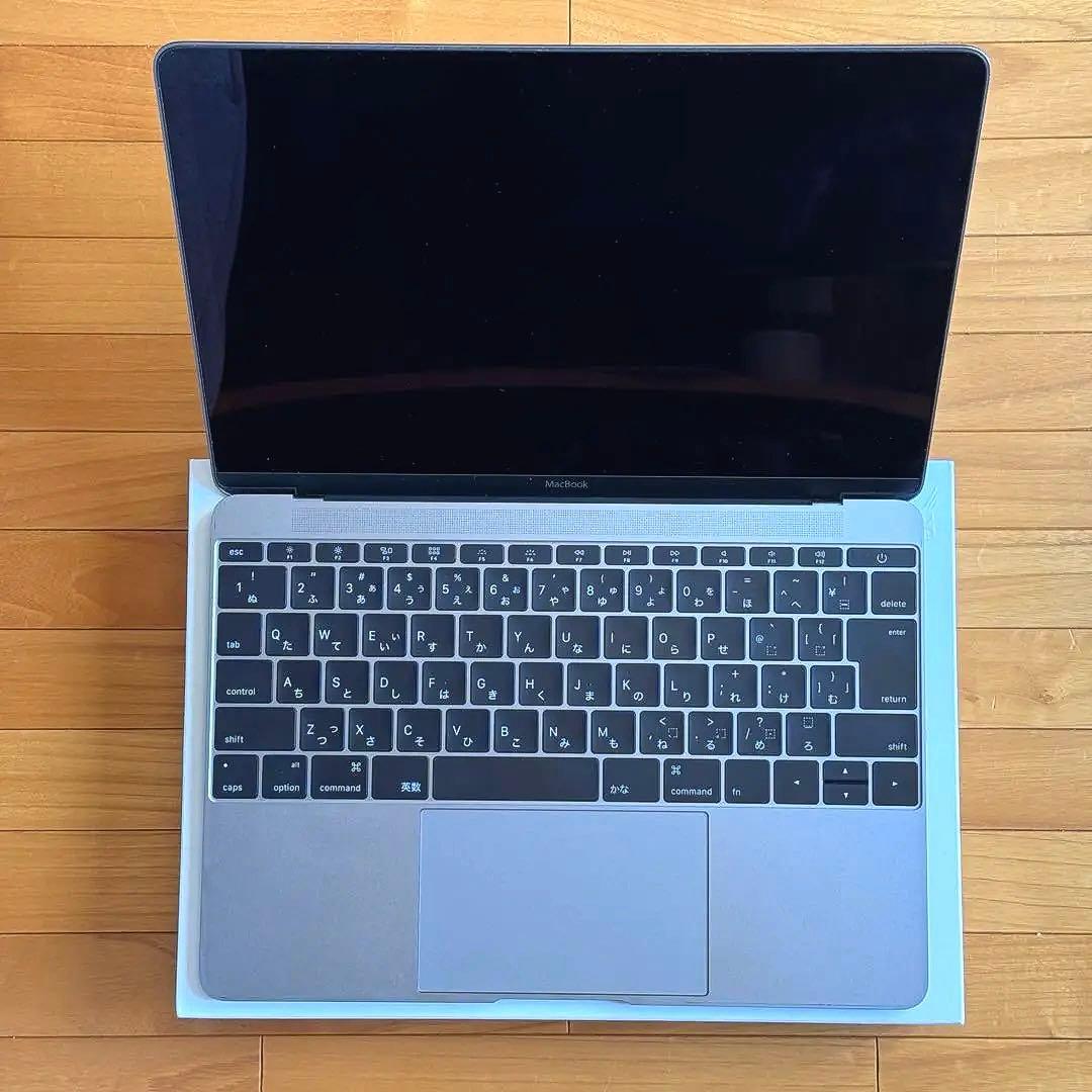 【ジャンク品】MacBook 2015 A1534 スペースグレイ ※起動不可