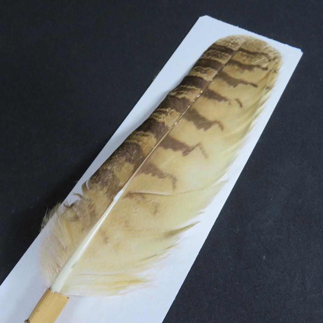 羽箒 羽根 ほうき 風炉用 三ツ羽根 シマフクロウ 紙箱 茶道具