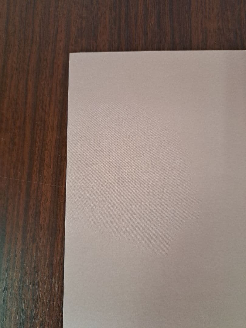 【超貴重/当時物/人気】西野カナ「Girls」★ポスター