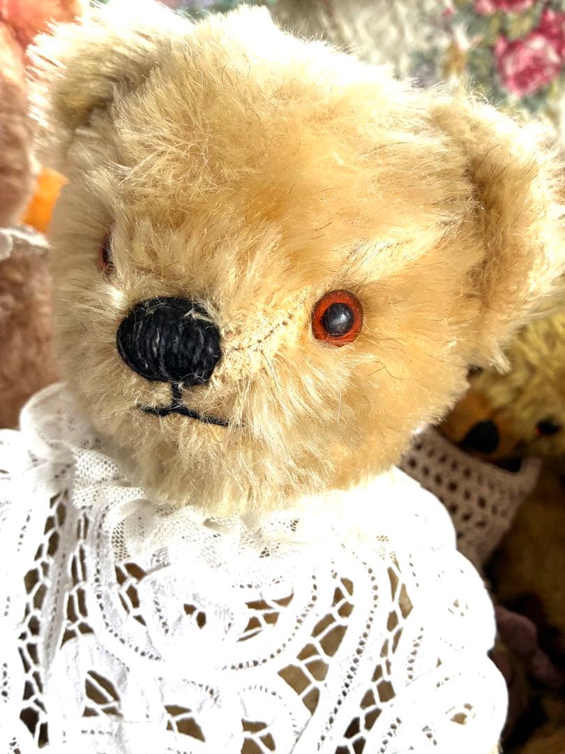 チャドバレー アンティークベア 人懐っこいお顔の可愛い子