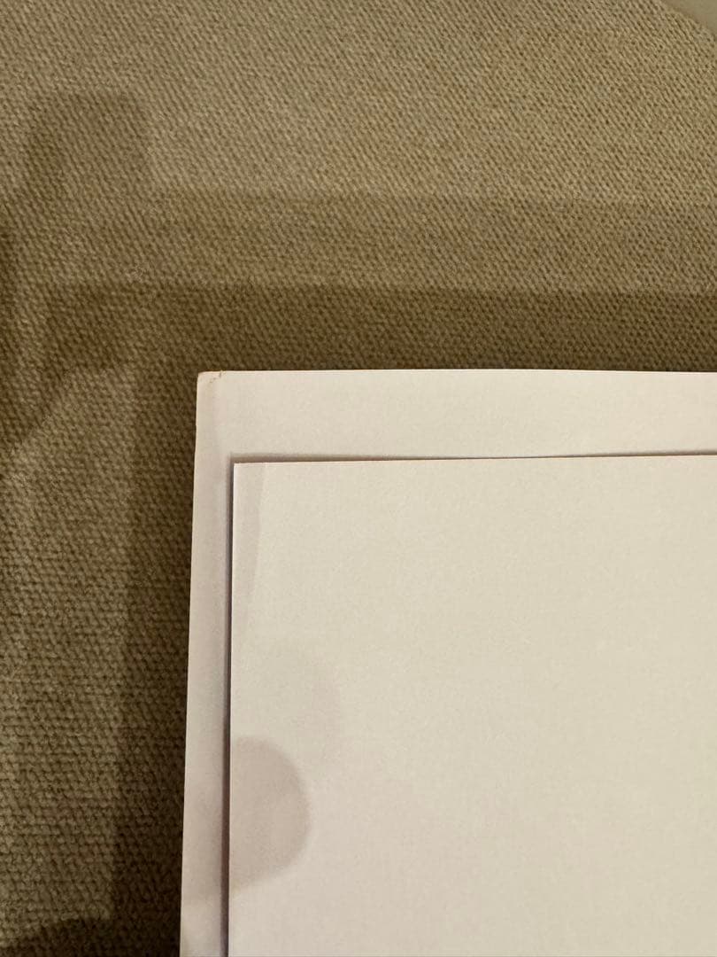 RED HOT CHILI PEPPERS レッチリ　リトグラフ　2枚セット