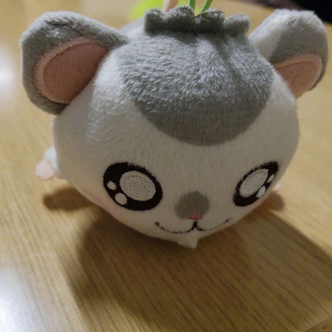 可愛い動物のぬいぐるみ