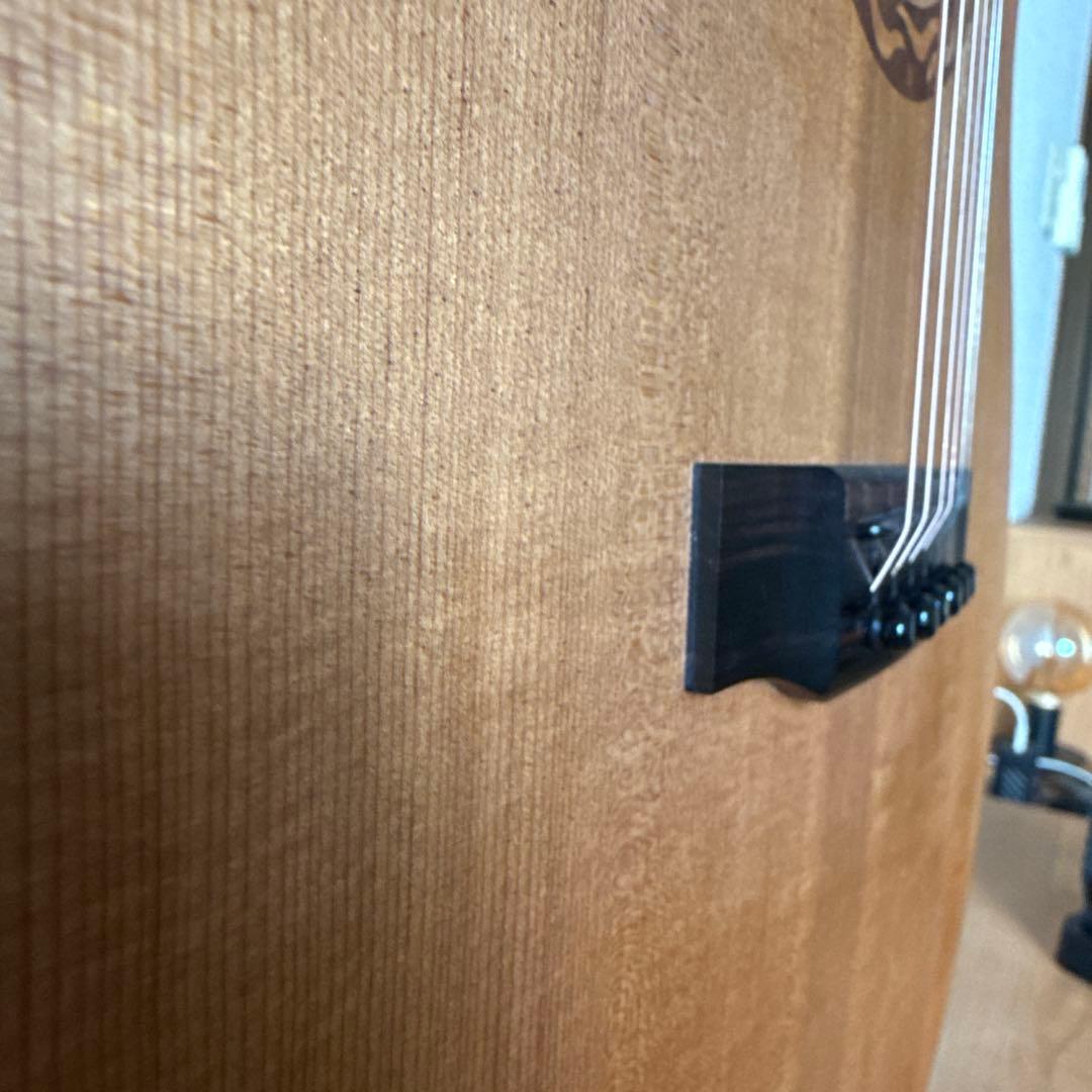 Martin & Co. XC1T ellipse カッタウェイ