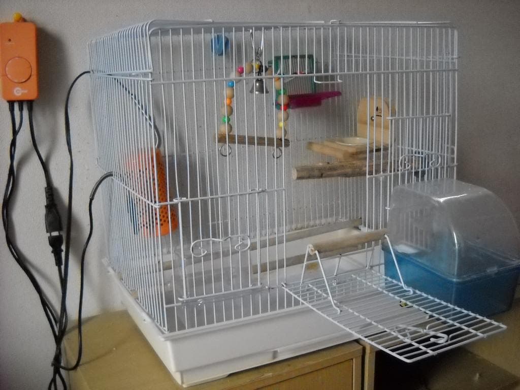 鳥かご ＆飼育セット＆おもちゃ付き