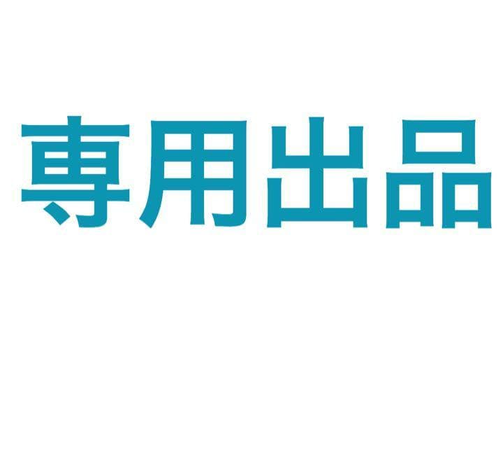 【現在釣り具メイン】出品