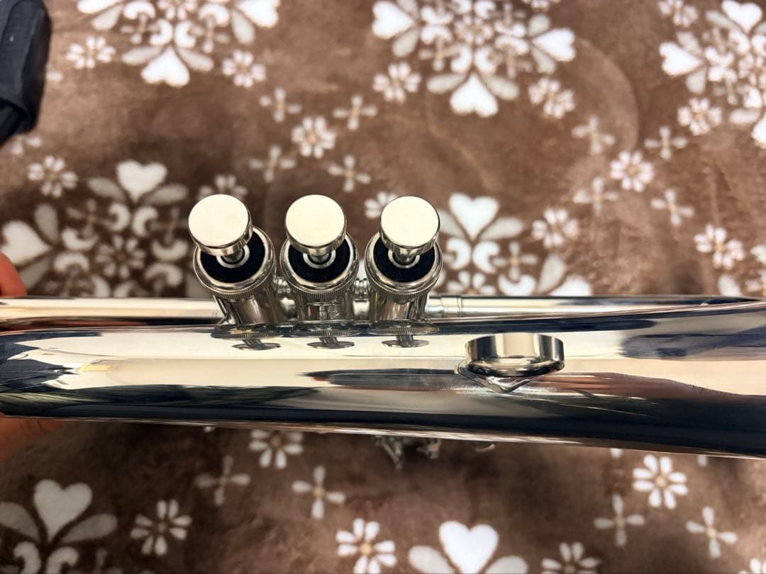 新年特価！ブラスパイア　ユニコーン フリューゲルホルン BPFG-850SS