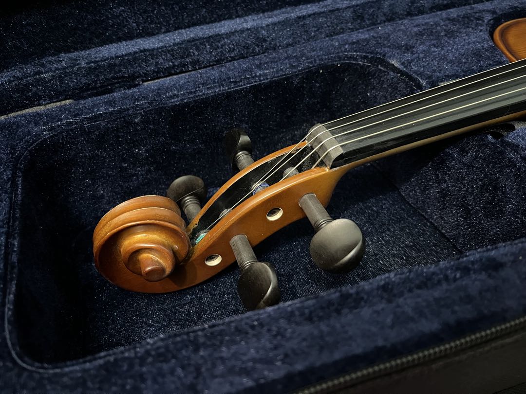 ⭐︎1000円引き⭐︎　ビオラ　一式　PLAYTECH PVA360 弓　ヴィオラ