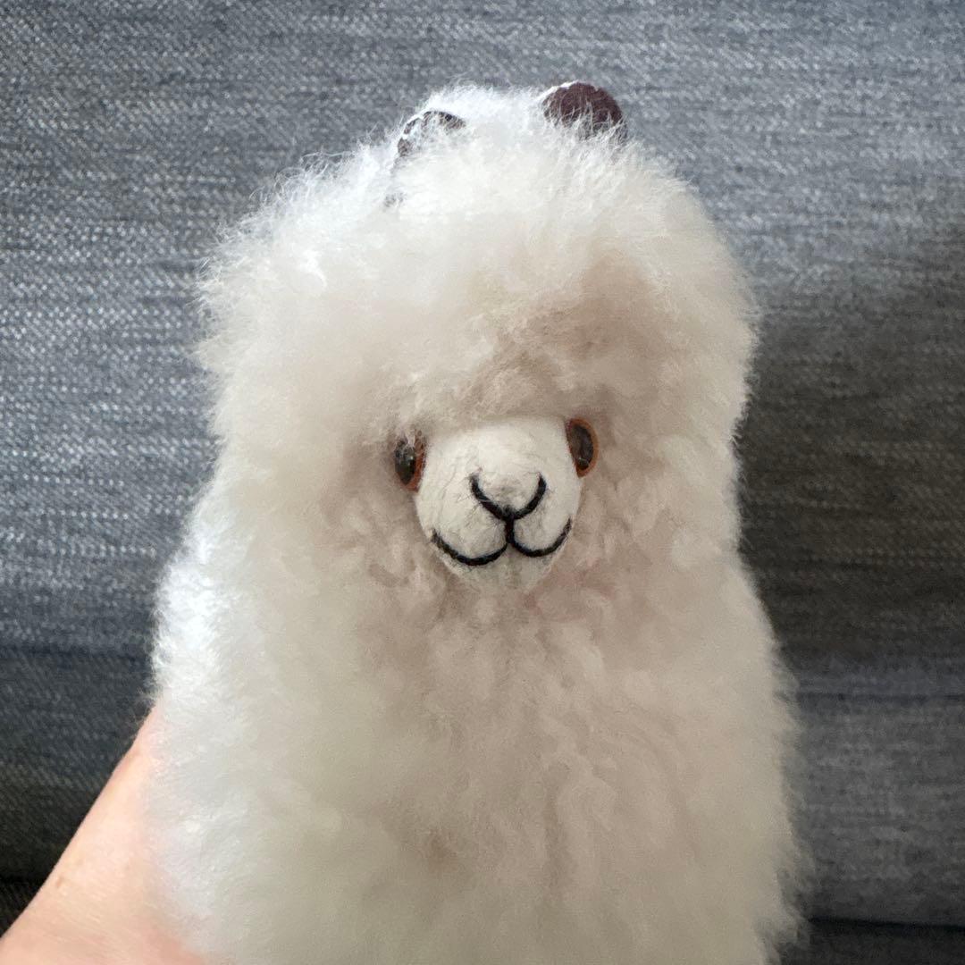 アルパカフェア　アルパカぬいぐるみ