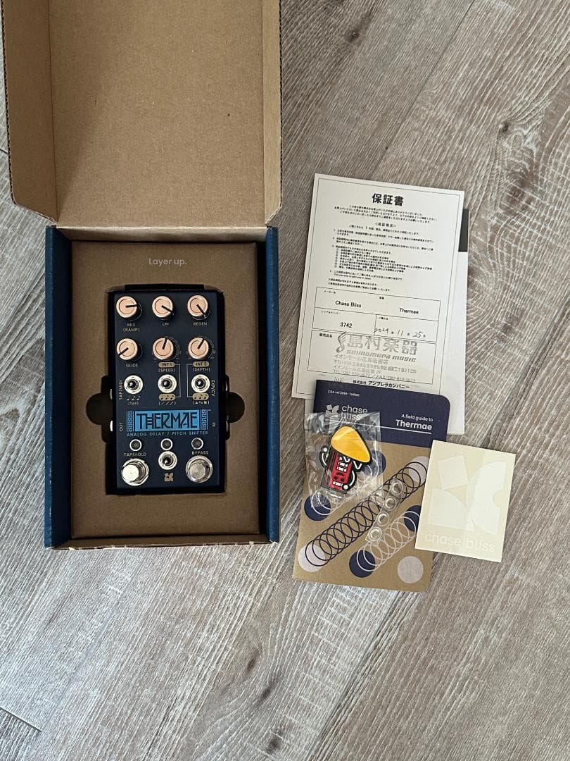 ギター Chase Bliss Audio Thermae