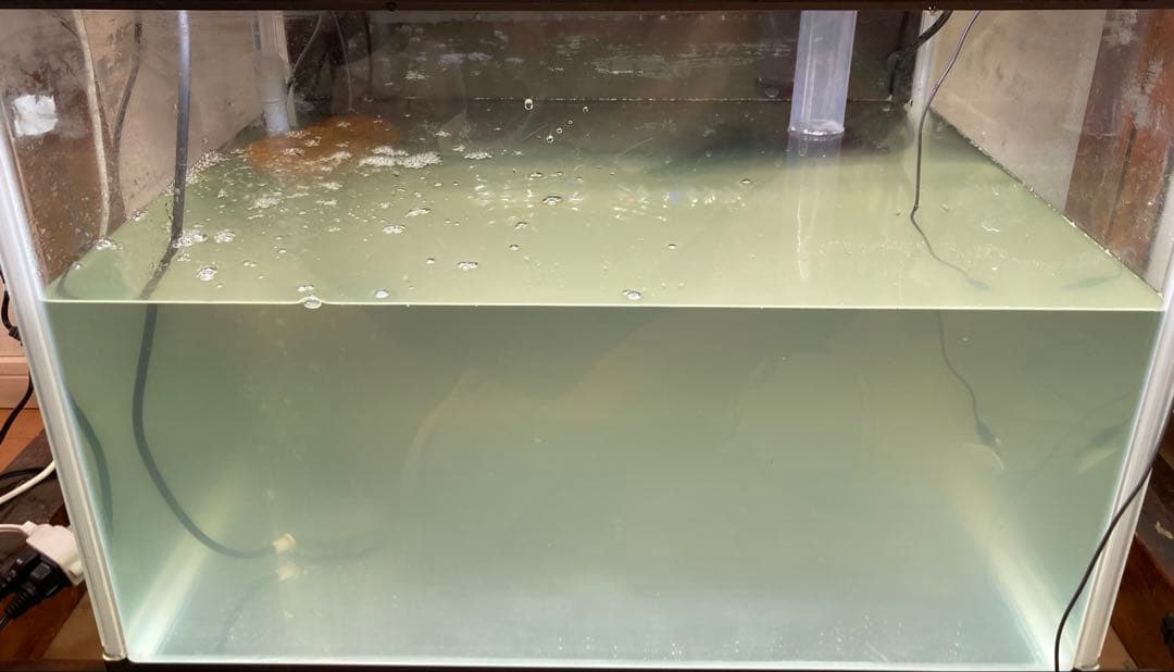 20kg業者様愛され高品質ろ材 納豆菌多孔質パワーボール20kg即時発送送料込み