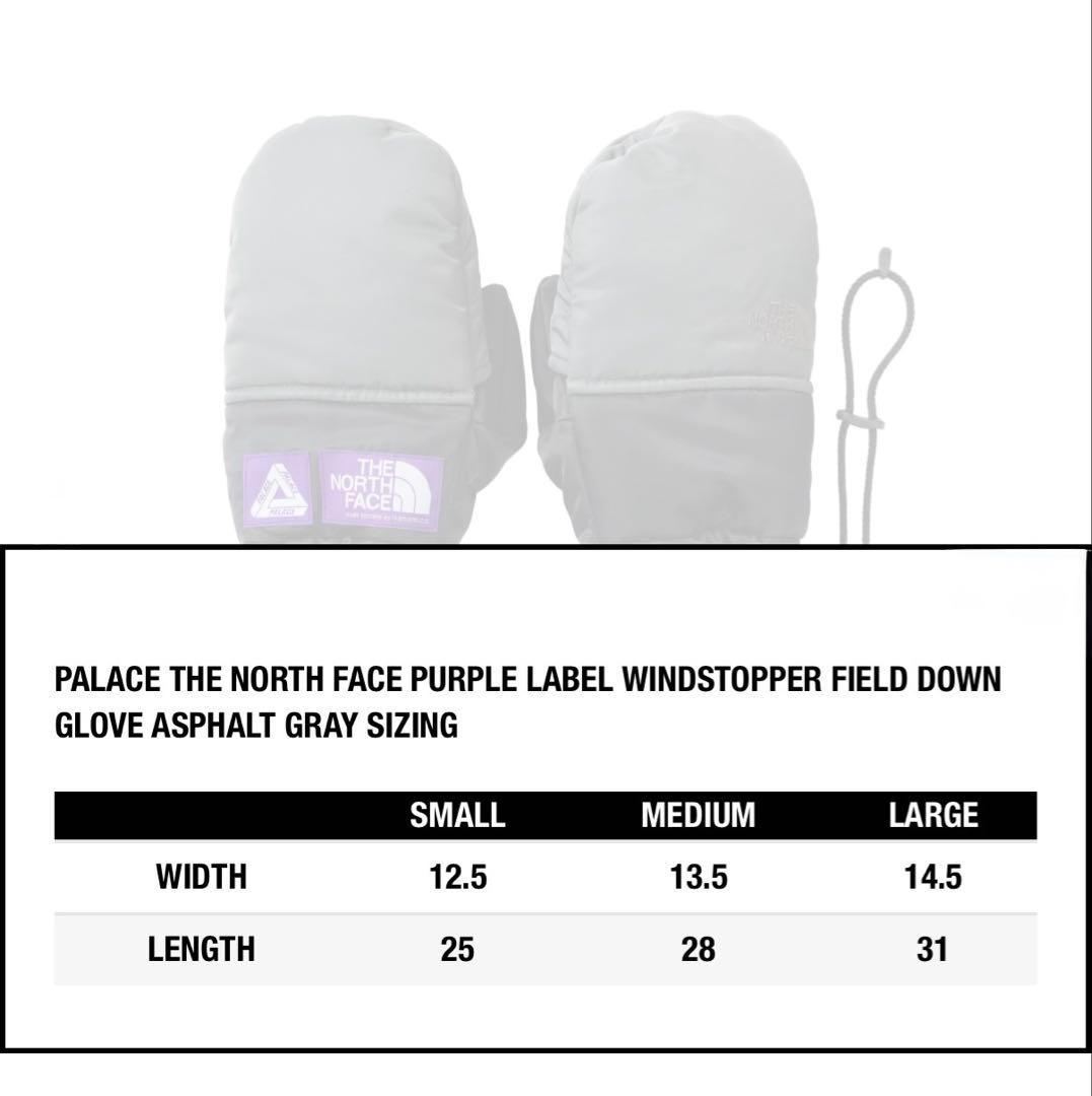 【新品未使用】PALACE×THE NORTH FACE GLOVE グレー　M