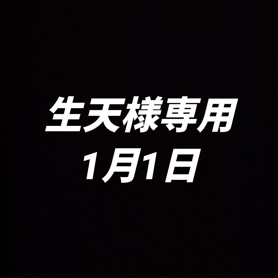 1月1日 生天カードセット