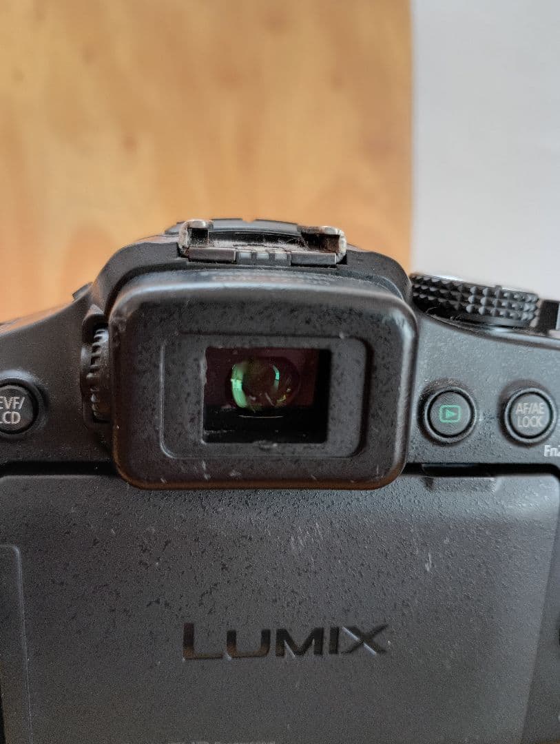 専用　LUMIX FZ200 デジタルカメラ バッテリー2個付き