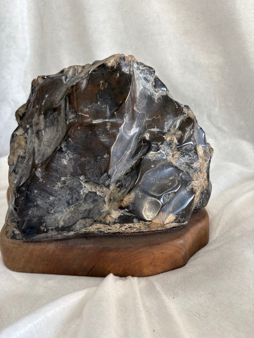 黄金菊花石　岩手県　陸中川井産　天然石