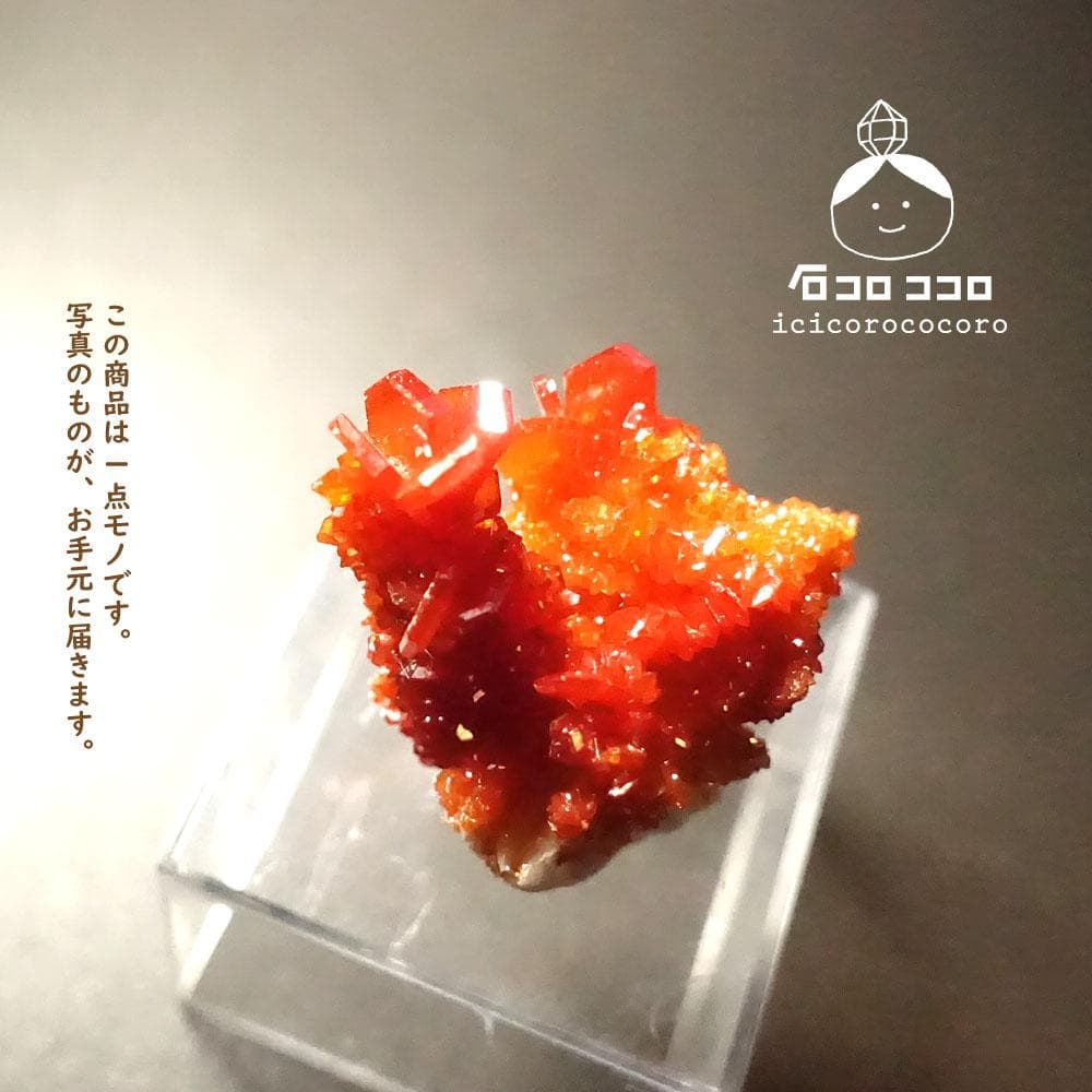 【匿名配送】バナディナイト06◆モロッコ直輸入【かわいい鉱物標本】石コロ ココロ