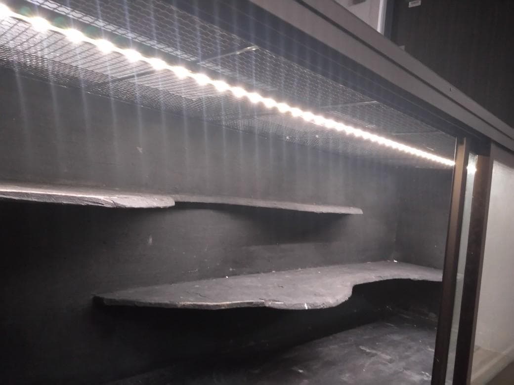 爬虫類　自作　ケージ　大型　1700　1800