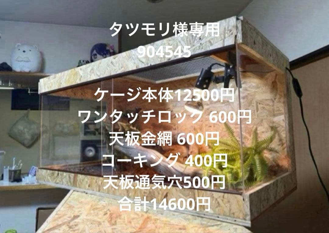 タツモリ　904545