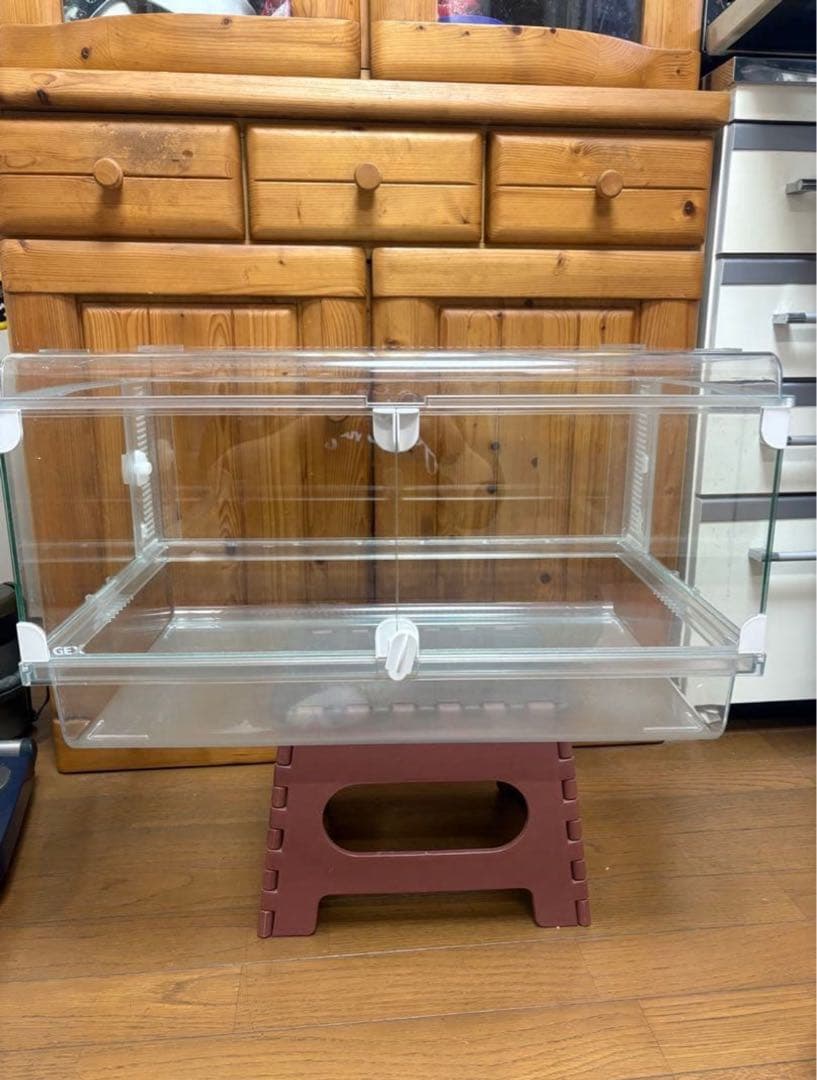 お買い得❗️GEX グラスハーモニー600 ゲージ