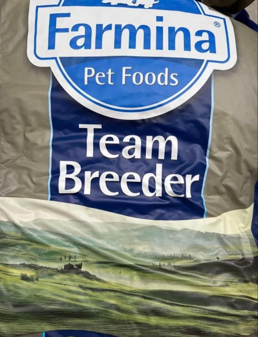 【新品・未開封】ファルミナ　チキン＆ザクロ入り　子猫用　10kg