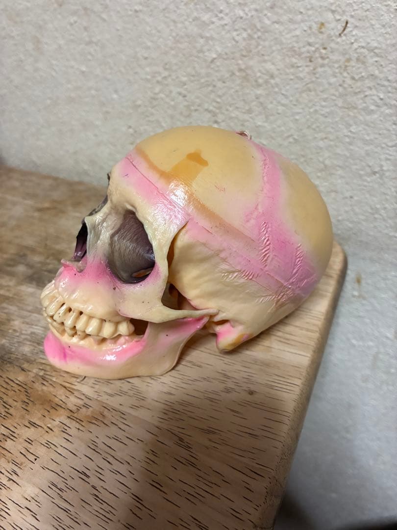 ビンテージ 60s スカル　髑髏　骸骨　死神　ハロウィン　ホラー　レトロ