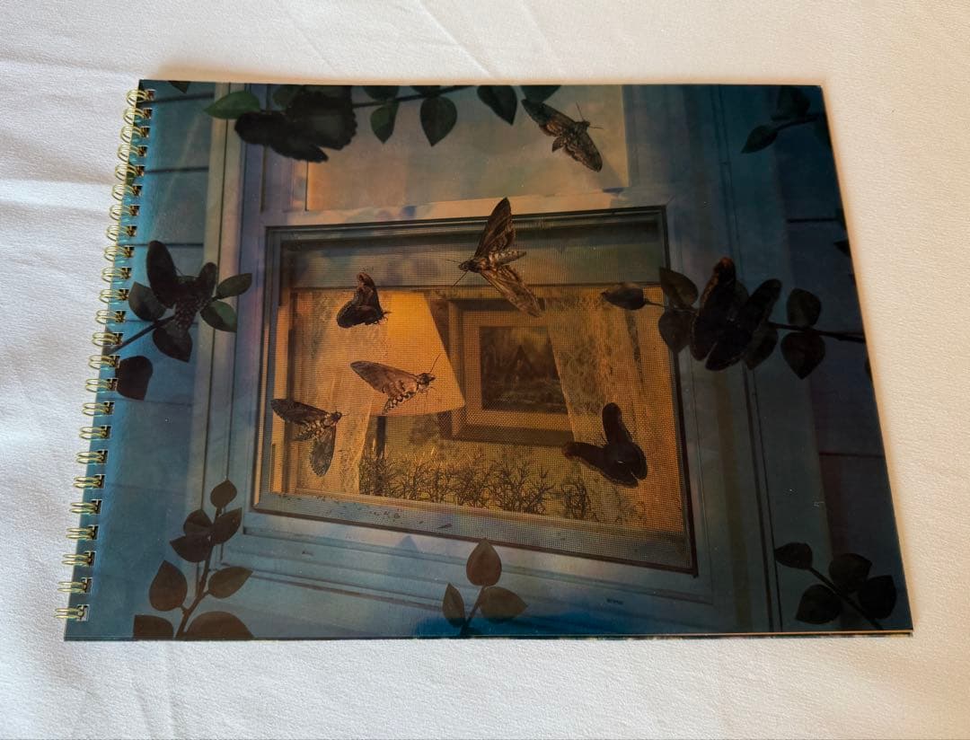 稀少DM COMME des GARCONS×Gregory Crewdson