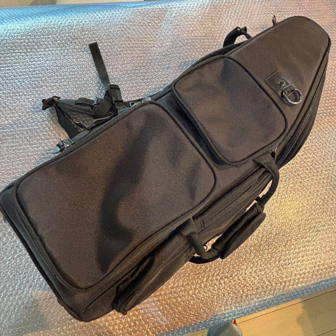 ファゴット用シングルケース　PROTEC プロテック PL252 ギグバッグ